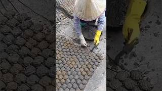 Process of making biscuits with cement
