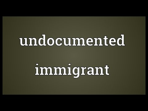 Undocumented immigrant Meaning