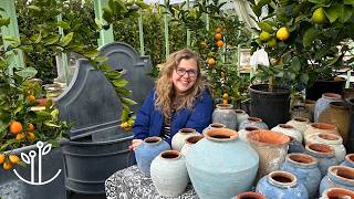Shopping at Versailles Garden - A Hidden GEM for Garden Lovers!