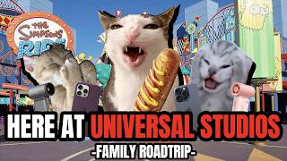 Cat MEMES: HERE AT UNIVERSAL STUDIOS