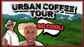 From Farm to Cup: Discover Medellin’s URBAN COFFEE TOUR | A Must-Do Experience!