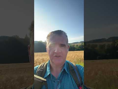 Viele kleine Schritte führen zum Ziel