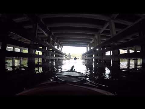Mercer Slough