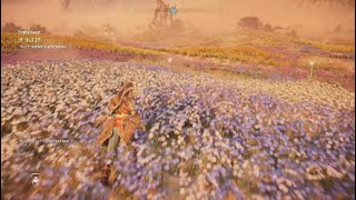 Field of memories. Horizon 2 Forbidden West (Episode 65)]