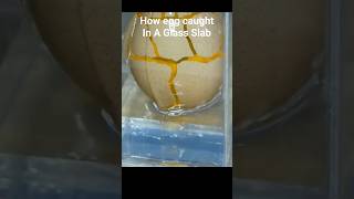 How To EGG Caught In Glass Slab || #shorts #viral #trending #diy #resinart