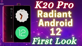 K20 Pro Project Radiant Android 12 Preview 2 | 24 Hour Review & First Look | Smooth & Fast