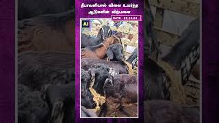 தீபாவளியால் விலை உயர்ந்த ஆடுகளின்  விற்பனை | AI News VTV | AI News Reader | Diwali | Diwali Offer