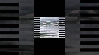 心靈寫生   法式靈創藝術–渲染水彩   張敏靜