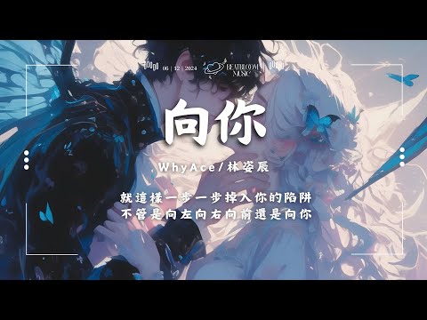 ♪ WhyAce/ 林姿辰 - 向你「就這樣一步一步掉入你的陷阱 不管是向左向右向前還是向你」【動態歌詞/Pinyin Lyrics】♪