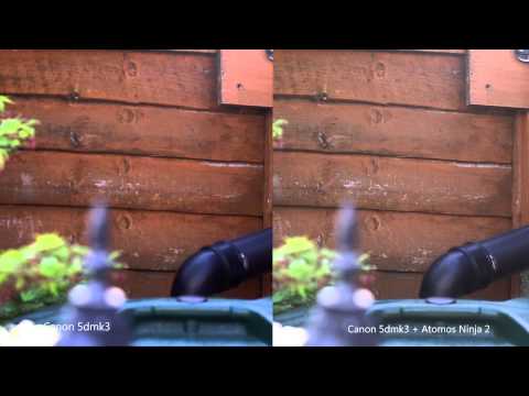 Atomos Ninja 2 test