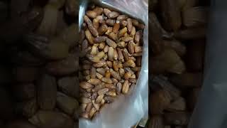 Algerian Dates - 8882164565