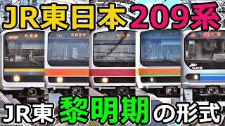 【電車の革命児】JR東日本の現役209系を全て紹介するぜ！