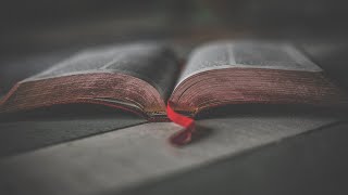 Morning Prayer: 11/28/22