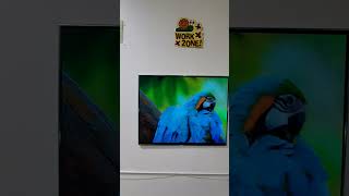 Onsite demonstration turning customer old wall pictures into projector screens