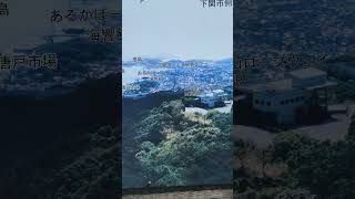 20230409 山口縣「火の山公園」，原來花卉是在山下纜車站附近，我是直接到山頂了，今年已尾聲待下次再來賞花