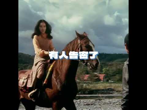 七十年代青年偶像——高仓健