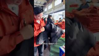 支持小韩真诚一些的一定要给我点个赞哦！