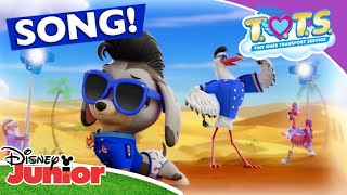 📷 Picture Perfect | TOTS | Disney Junior Africa