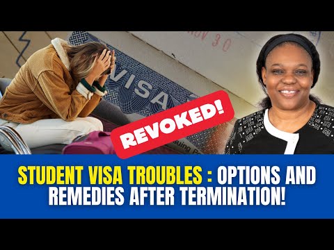 Student visa troubles options and remedies after termination!