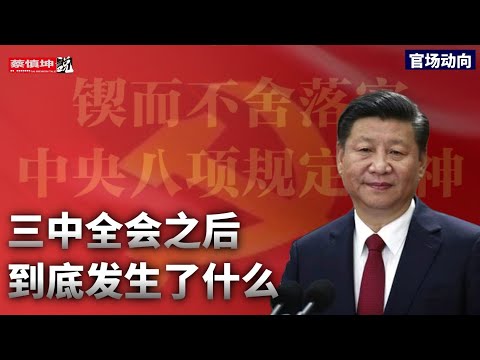 三中全会之后到底发生了什么｜整风和巡视要达到什么目的｜20250409第536期）#官場動向