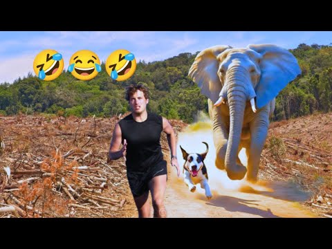 🤣🔥🤣Funny Videos | Best Funny Videos of the Week | Funny Videos Compilation @ScutiSmile