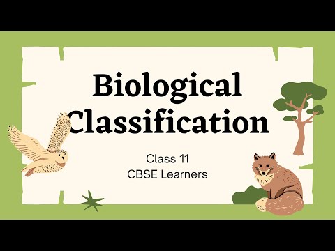 Biological Classification -Kingdom Protista🔬 | One Shot-Part-4  | CBSE | Class 11 | Biology 🧬| NEET