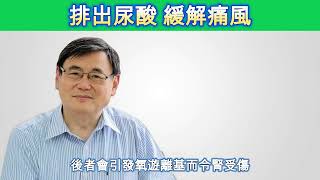 抑制尿酸不如排走尿酸？痛風其實有第二條路可走｜顧小培博士文章分享