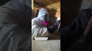 DIY Mold Remediation Part 4! This is why you ALWAYS cut above the water line! #mold #remediation