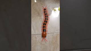 new remote controlled centipede 🐍