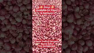 Onion Supplier in Nashik India #agriexport #onion #onionrate #agriculture
