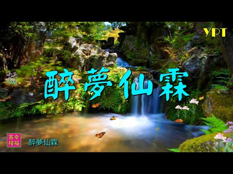 YPT48《醉夢仙霖》心靈音樂｜休閒音樂｜佛教音樂｜禪修音樂｜太極拳背景音樂＞無痕加長珍藏版