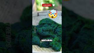 This Sea Moss Snack Will Surprise You—Here’s How!