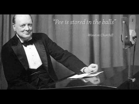 pee is stored in the balls