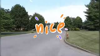 Life with Li Easy Everyday English for Chinese Speakers 美国真实生活场景英文/中英文版学习高频万用英文