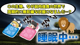 睡眠中は危険なのに、なぜ進化の過程で睡眠は淘汰されなかったのか？【ゆっくり解説】