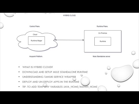 Hybrid Deployment: Setting up Mule 4 Standalone Server