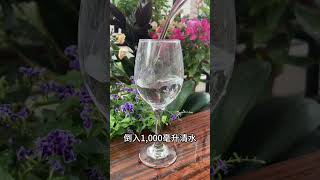 教你一招，轻松解决盆土板结问题 #花卉绿植 #分享 #柏树盆景 #plants #新鲜采摘 #养花 #科普 #bonsai #plants #garden #shorts #share #video