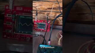 This Is How a Plant Sounds: Live Music Generated by Mint Using Bioelectric Technology
