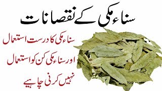 Sana Makki ke Fayde | Sana Makki ka Sahi istemal | Sana Makki Benefits