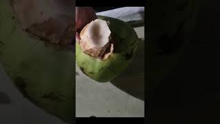 HOW TO OPEN A COCONUT #coconut #tips101 #shorts