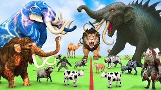 5 Giant Elephant Cow Vs Giant Angry Indian Elephant Vs 5 Giant Lion Tiger Cub Saved By Wolly Mammoth