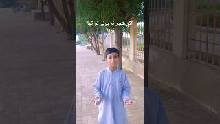 A poem about importance of Trees by M. Hasnain  #importanceoftrees #tree #growtree #darakht