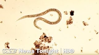 Sewage Parasites & Jail Vapes: VICE News Tonight Full Episode (HBO)