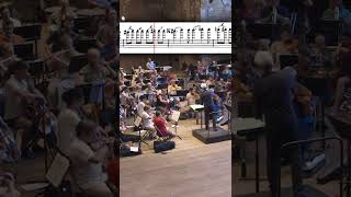 Tchaikovsky – Symphony No. 5 (#shorts)