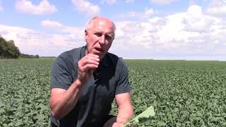 How to Overcome Crop Stress