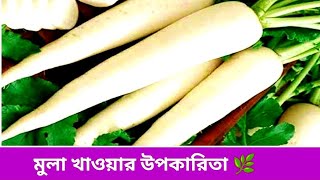 আপনি কি জানেন মুলা খেলে কি উপকার হয় জানলে আপনি এখন থেকে খাওয়া শুরু করবেন