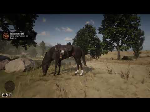 Red Dead Redemption 13 ---