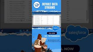 Discover the Power of Default Data Streams!