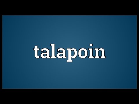 Talapoin Meaning