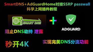 smartdns+AdGuardHome对接 ssrp passwall等科学上网插件教程 实现完美DNS分流功能 阻止DNS劫持 泄露等问题 优化网页打开速度视频缓冲时间 秒开4K